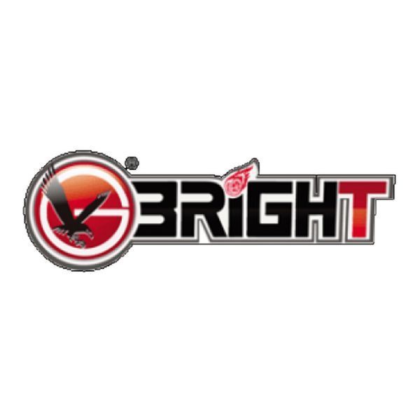 Быстросъемная прижимная гайка d36 для балансировочного стенда BRIGHT 5508023 TB-K-0100000 фото
